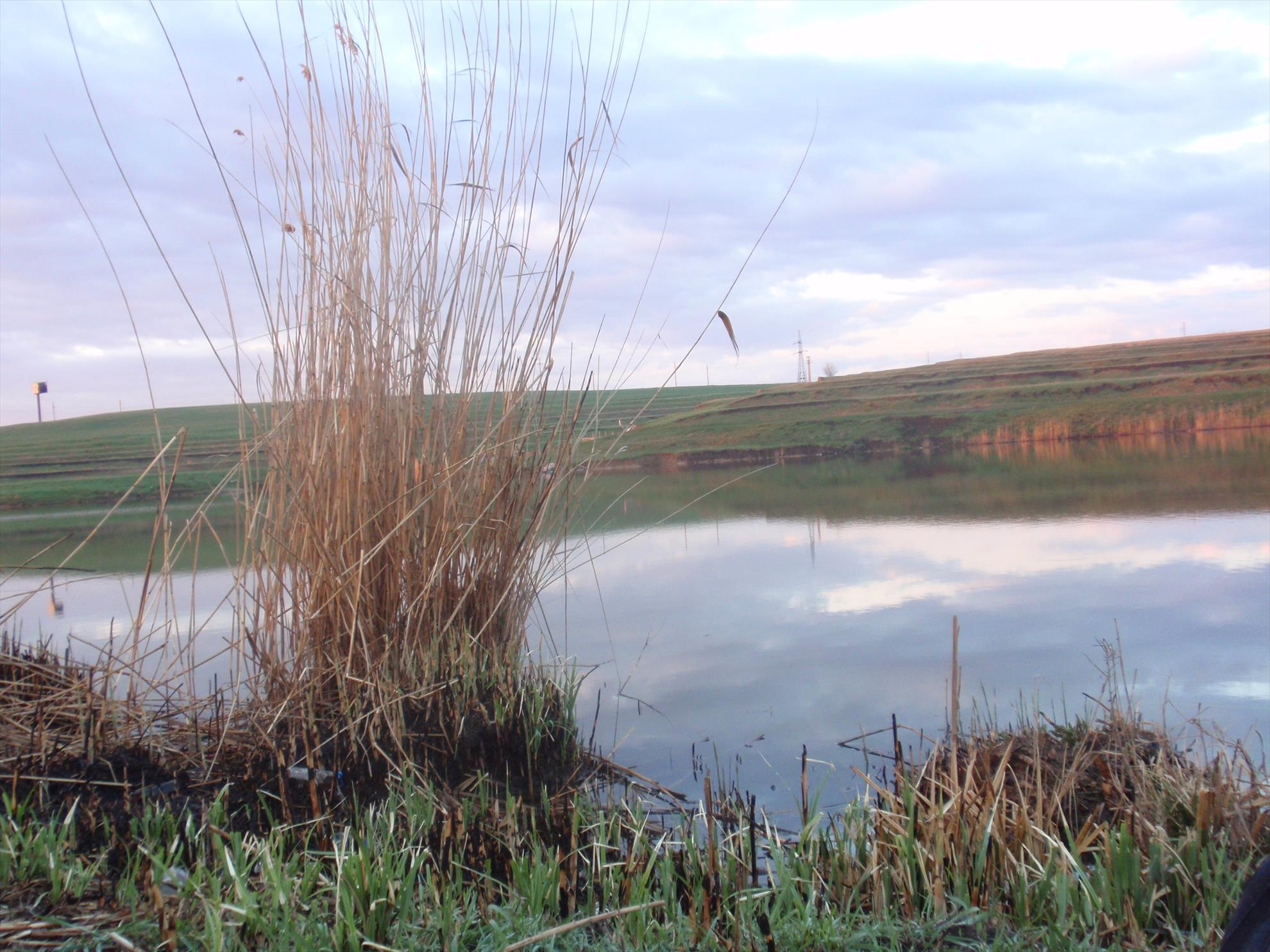 Din viata noastra... - p41400551.JPG